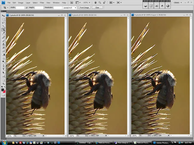 Focus Magic là gì? Tính năng của Focus Magic Focus Magic là gì?