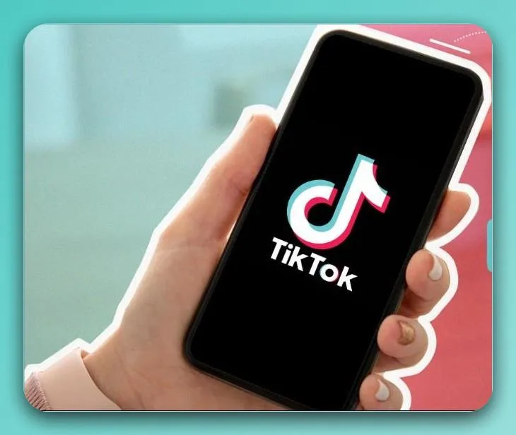 Cách Sử Dụng SnapTik Tải Video TikTok Không Logo (Watermark) Đa dạng tùy chỉnh tải xuống video Tiktok