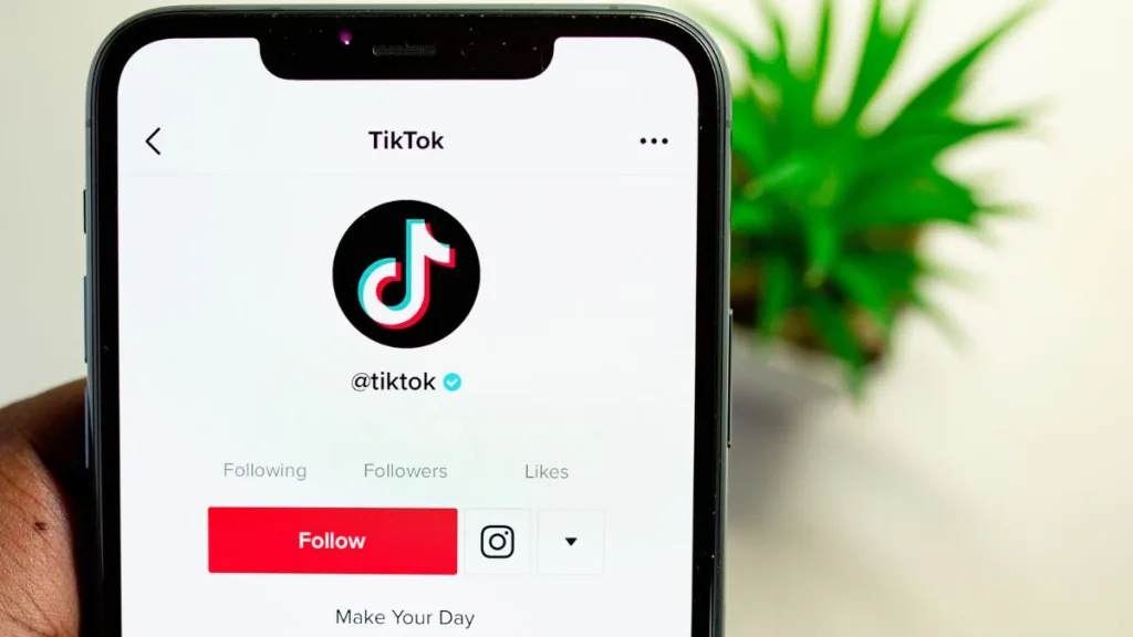 Cách Sử Dụng SnapTik Tải Video TikTok Không Logo (Watermark) Tải video Tiktok