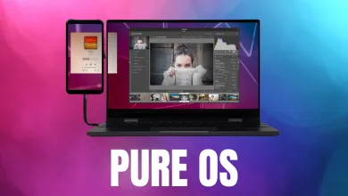 Windows 11 Pure OS là gì?