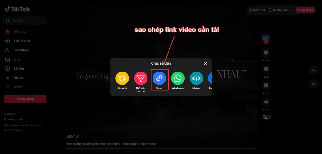 Tiktok Downloader Sao chép link video TikTok