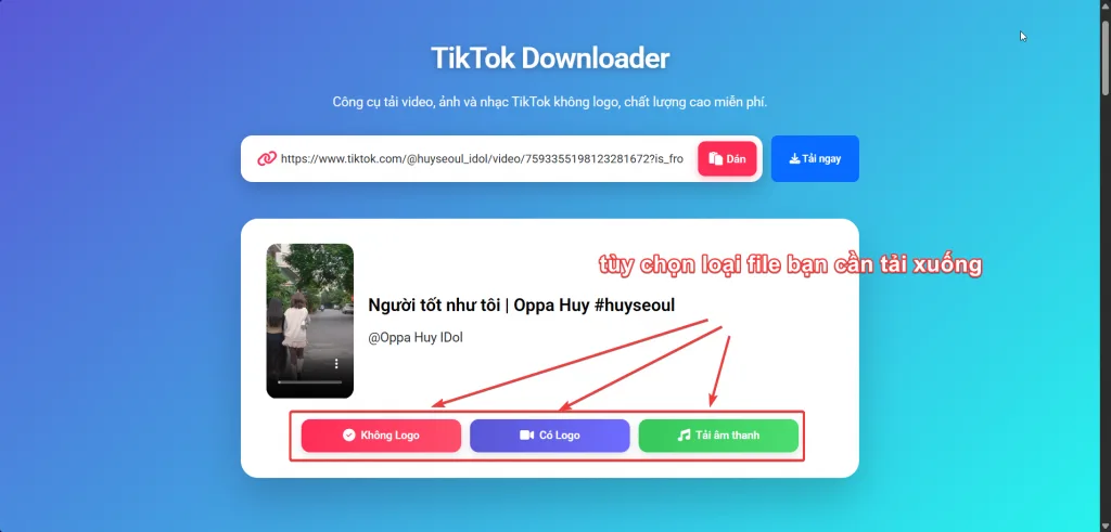 Tiktok Downloader Tùy chọn định dạng cần tải xuống từ TikTok