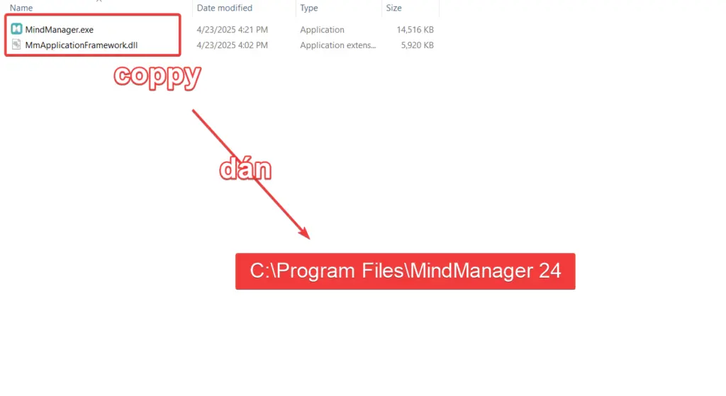 Tải Mindjet MindManager Full tính năng vĩnh viễn Coppy file active vào thư mục
