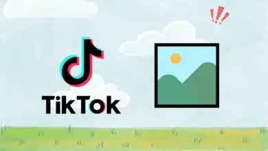 Cách tải ảnh slide TikTok