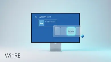 Cách kiểm tra phiên bản Windows Recovery trên Windows Cách kiểm tra phiên bản Windows Recovery trên Windows 11